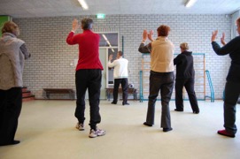 tai chi qi gong amersfoort